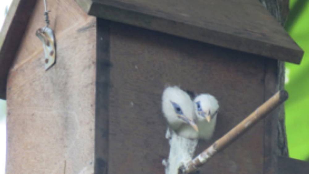 Partner In Conservation