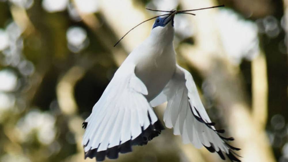 The Hard And Soft Approaches