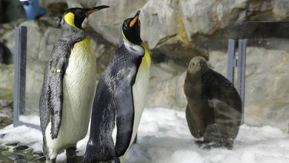 Mommy, Daddy Dearest