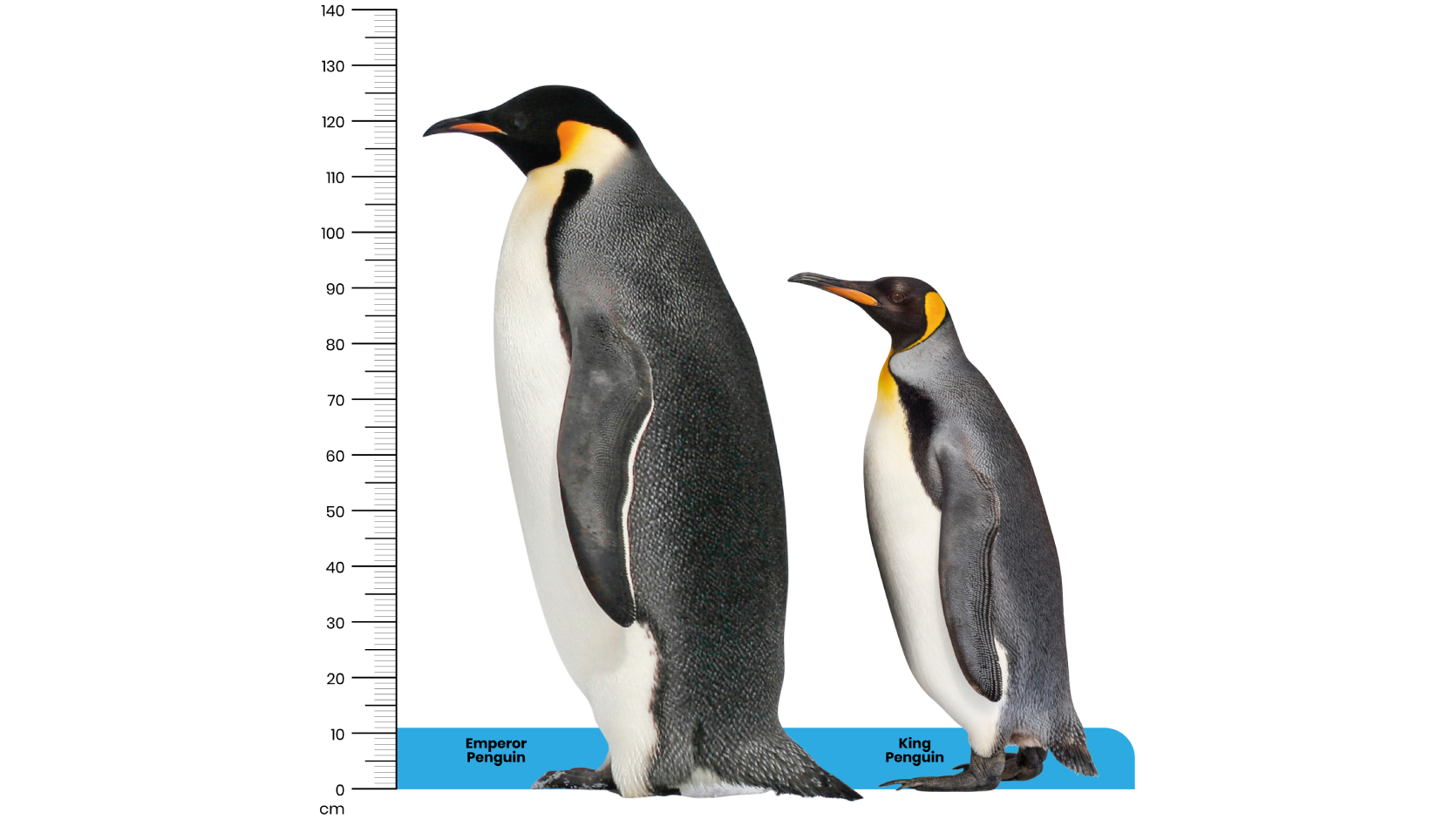 Hail the Kings and Emperors