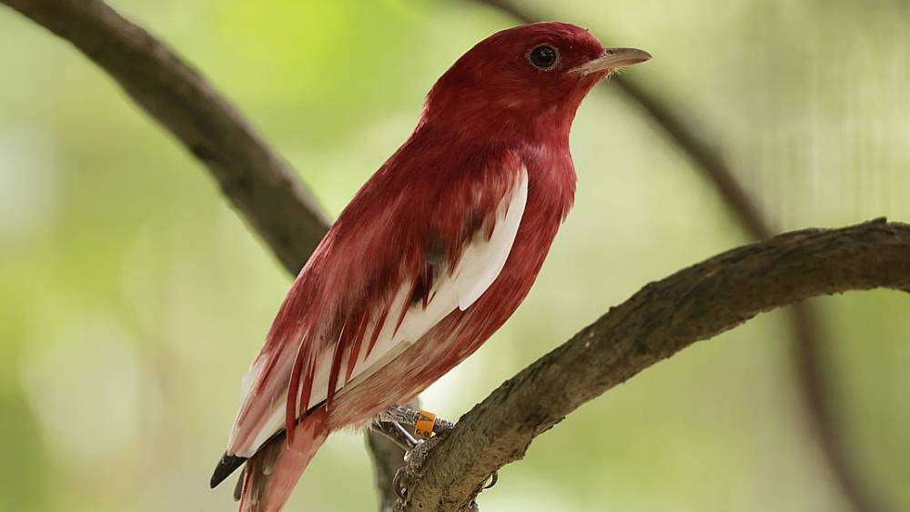 Raising Junior Alone