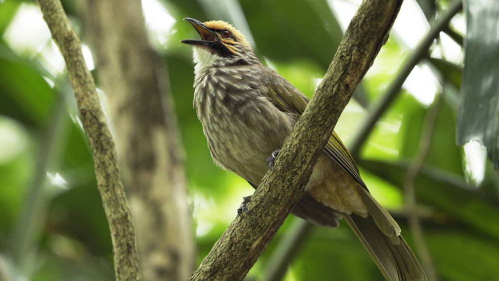 The Last Straws Are Here To Stay