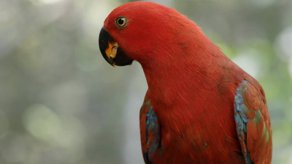 Only On Sumba Island