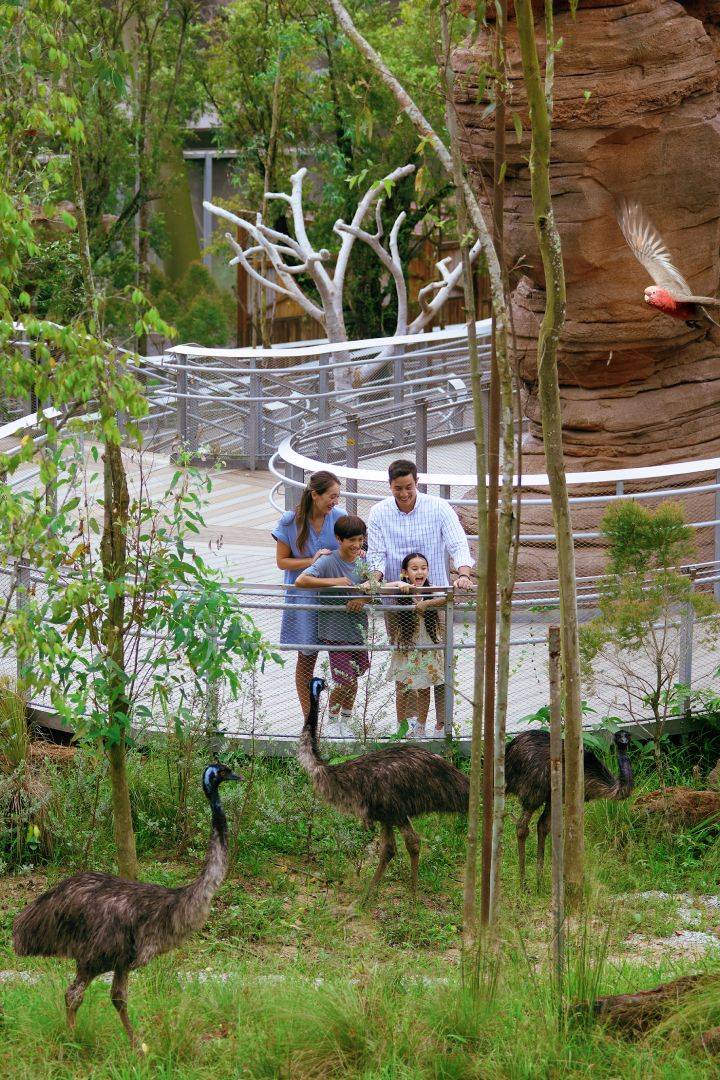 邵氏基金澳大利亚内陆