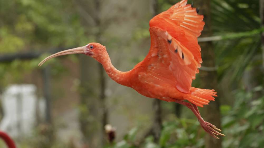 Need to refuel?  Crimson Restaurant Awaits!