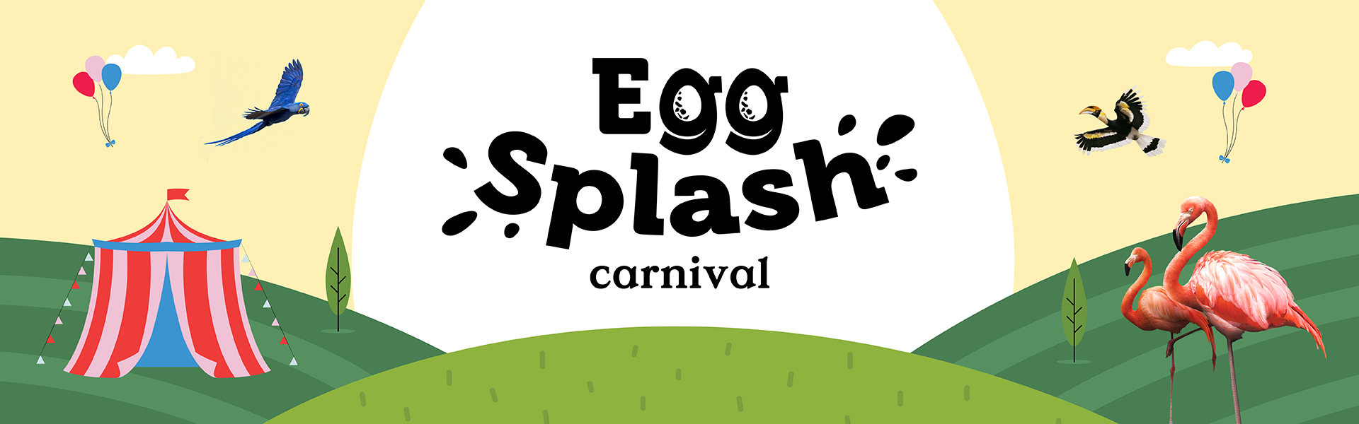 Egg Splash Carnival