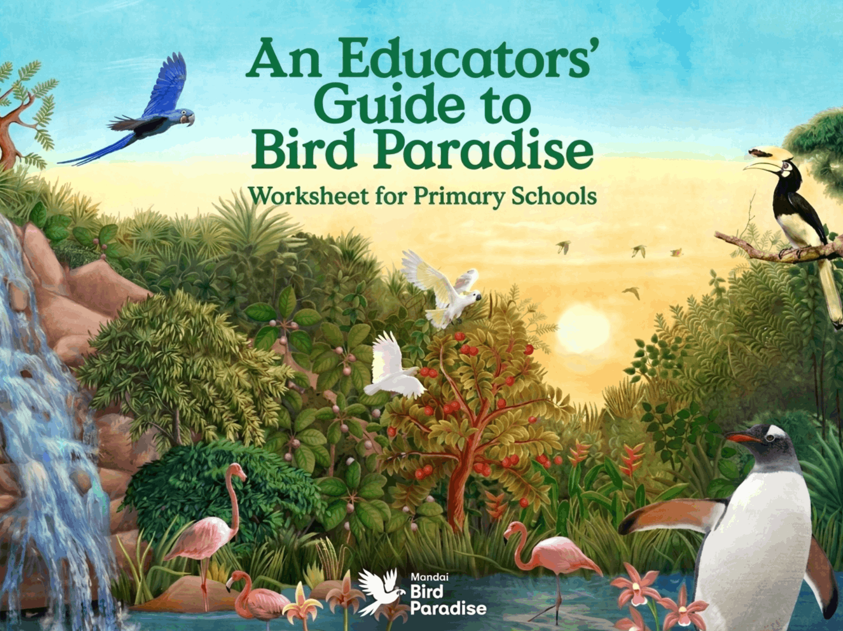 Primary School Educators' Guide