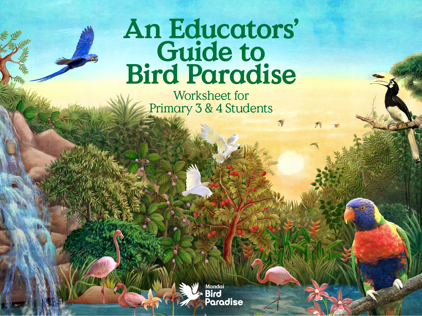 lorikeet cover sunset