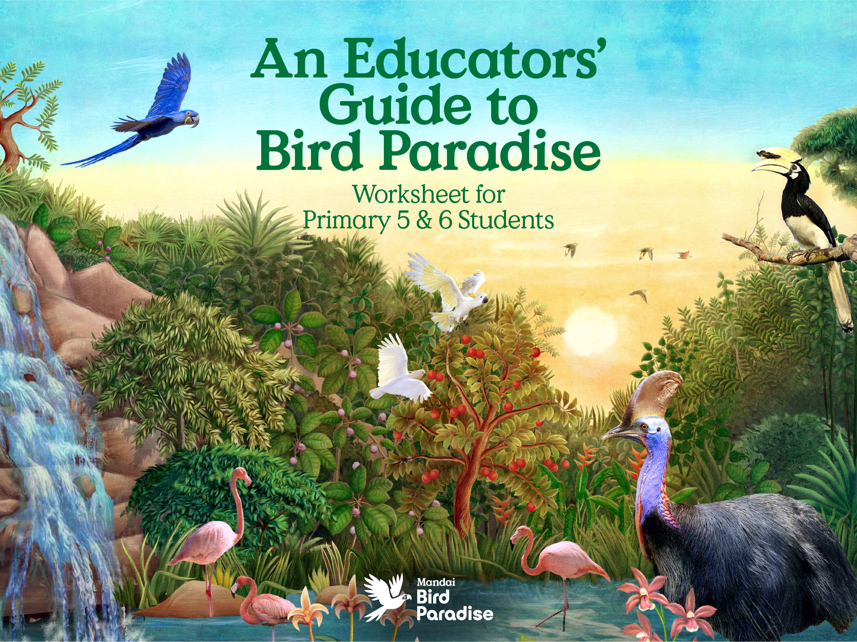 cassowary cover sunset