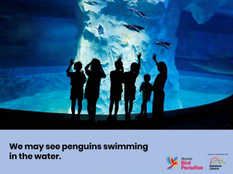 people watching penguin swimming