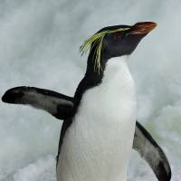 Educational Resources