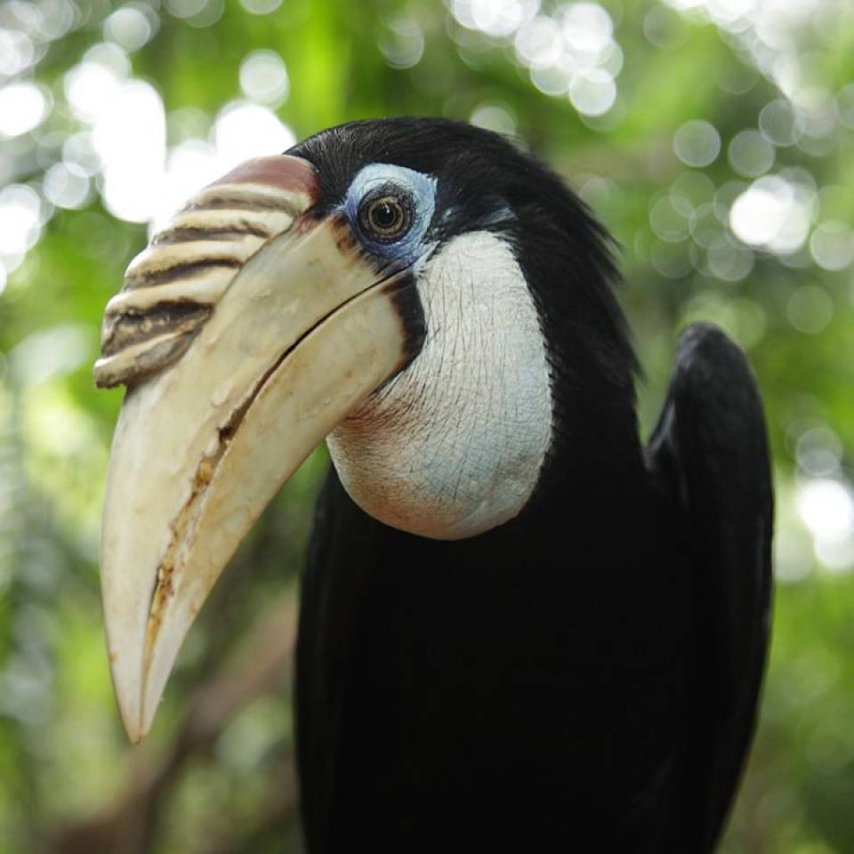 World-class care for our animals