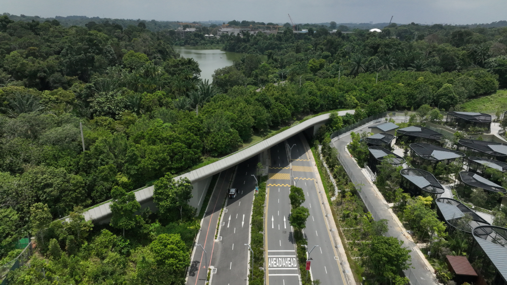 mandaiwildlifebridge