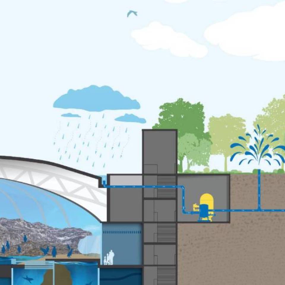 Sustainable Design