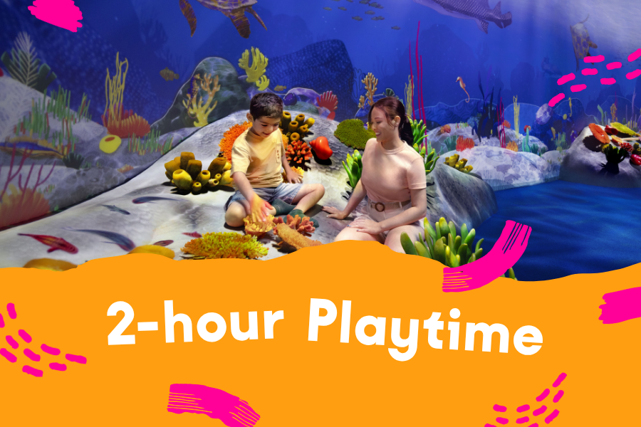 Curiosity Cove Admission (2 hours Playtime)