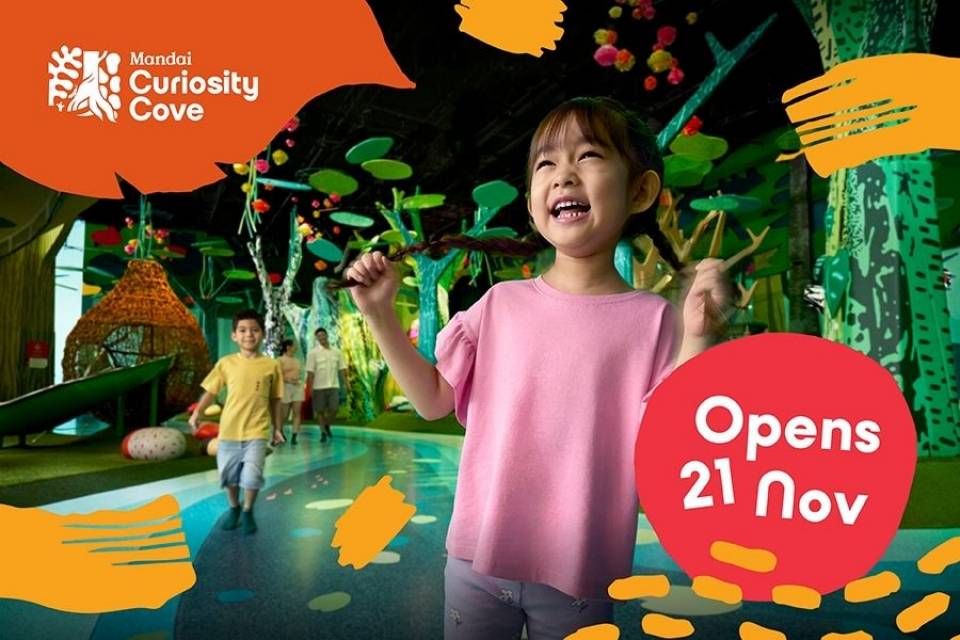 Curiosity Cove — Opening Soon