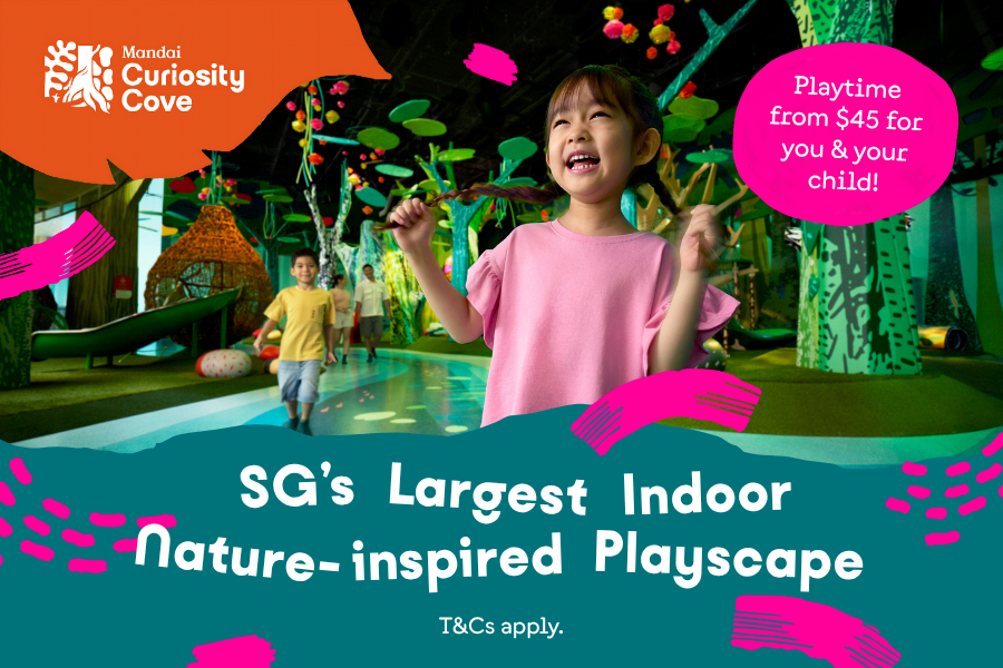 Curiosity Cove — Opening Soon