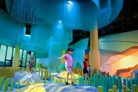 Curiosity Cove, the new kid on the block