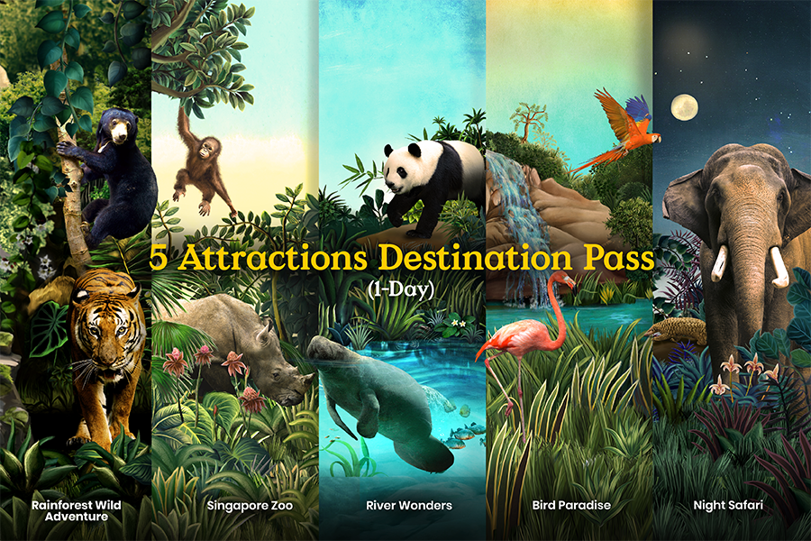 1 Day Destination Pass