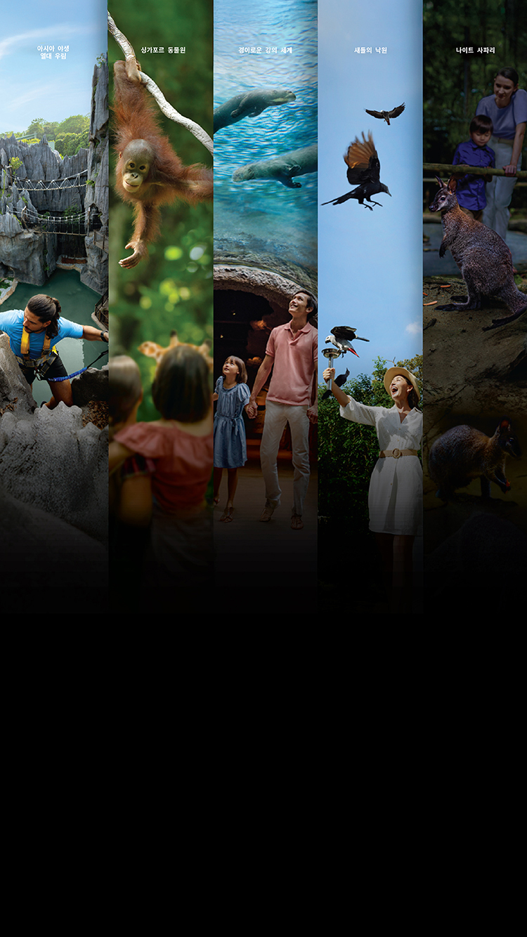 데스티네이션 패스 