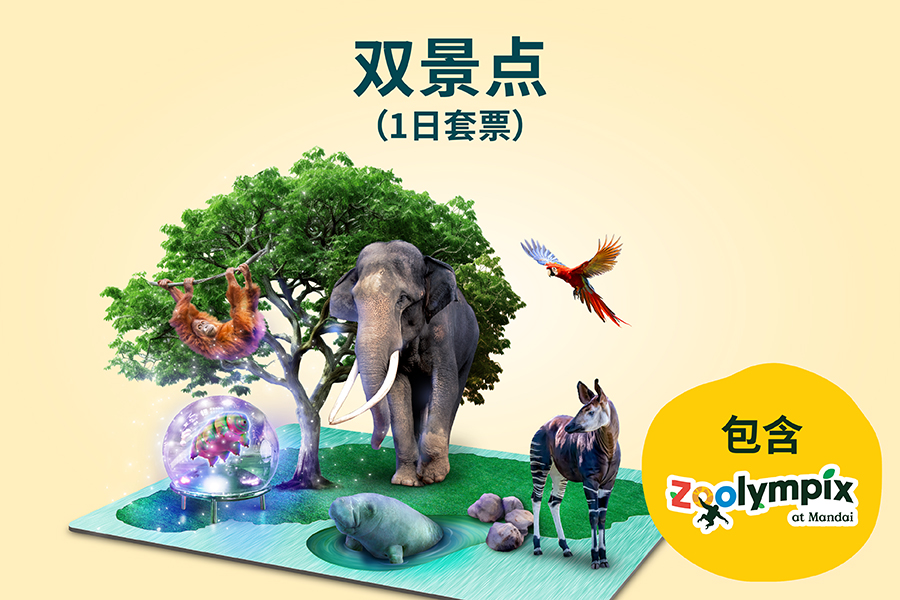 双景点​（1日套票）
