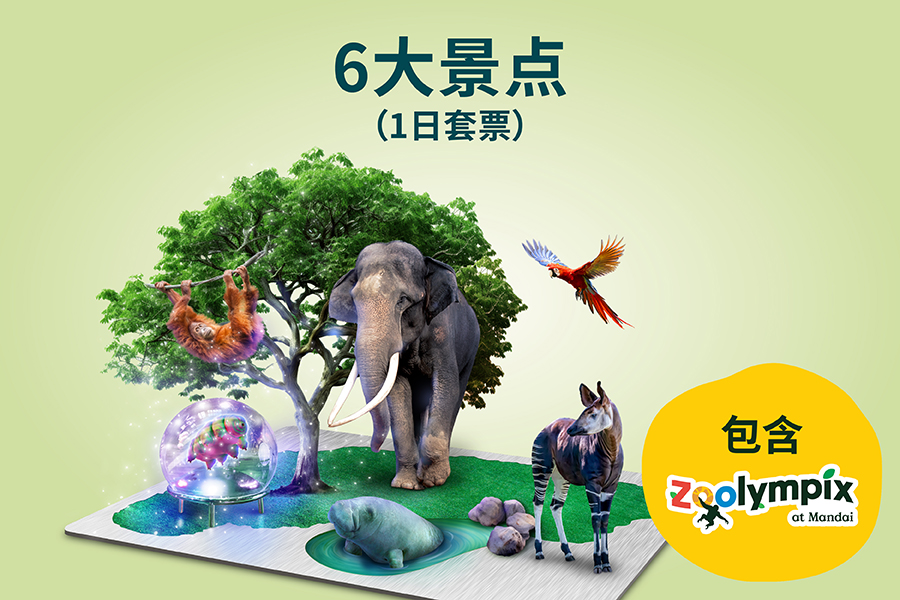6大景点​（1日套票）