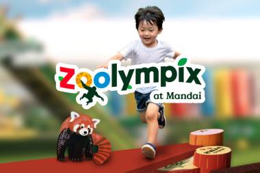 Zoolympix: Stars of Mandai Festive Challenge