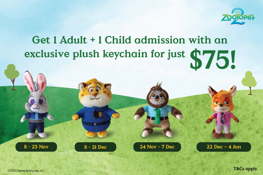 Disney Zootopia Adventure Bundle