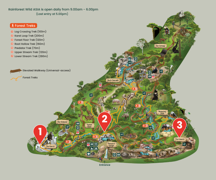 Rainforest Wild ASIA map
