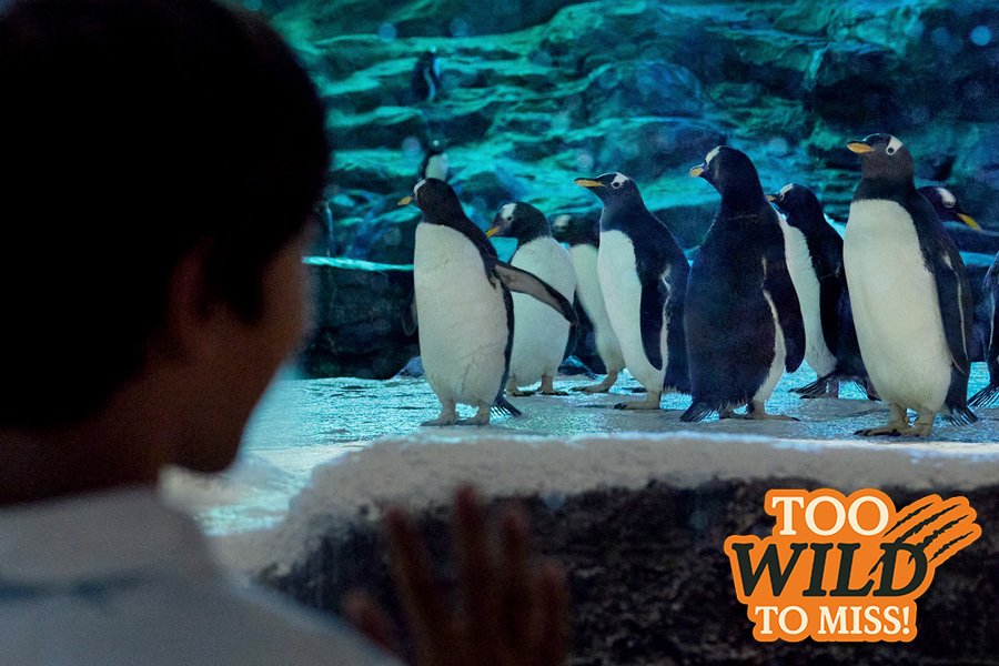 Bird Paradise Itinerary