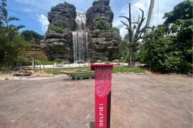 Hong Leong Foundation Crimson Wetlands — Waterfall