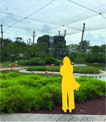 Bird Paradise - Hong Leong Foundation Crimson Wetlands