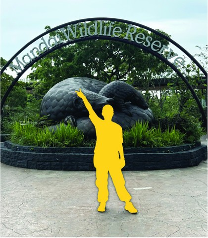 Mandai Wildlife EAST - Pangolin Status