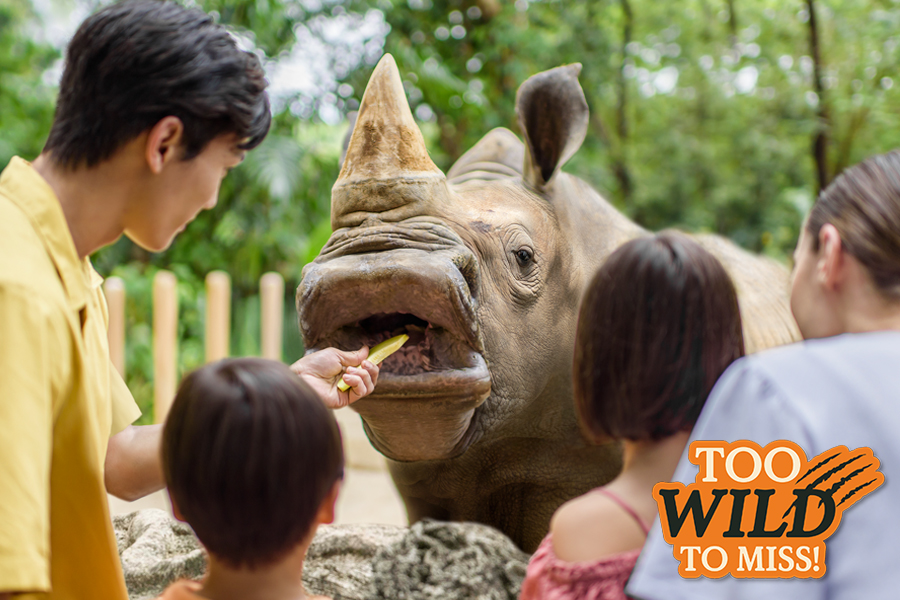 Singapore Zoo Itinerary