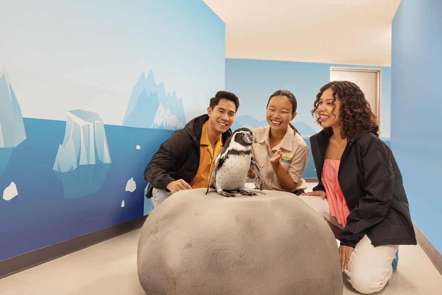 Image for Backstage Pass: Penguin Encounters