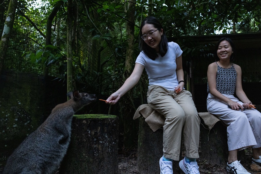 Image of a lady feeding a wallaby