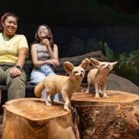 Hello From The Wild: Singapore Zoo