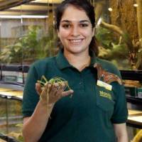 Backstage Pass: Incredible Invertebrates