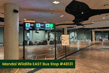 Mandai Wildlife EAST Bus Stop 48131