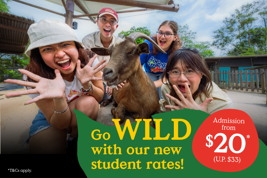 NEW Local Student Rates
