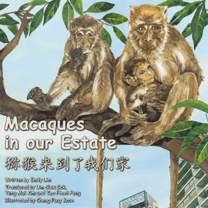 Macaques in our Estate