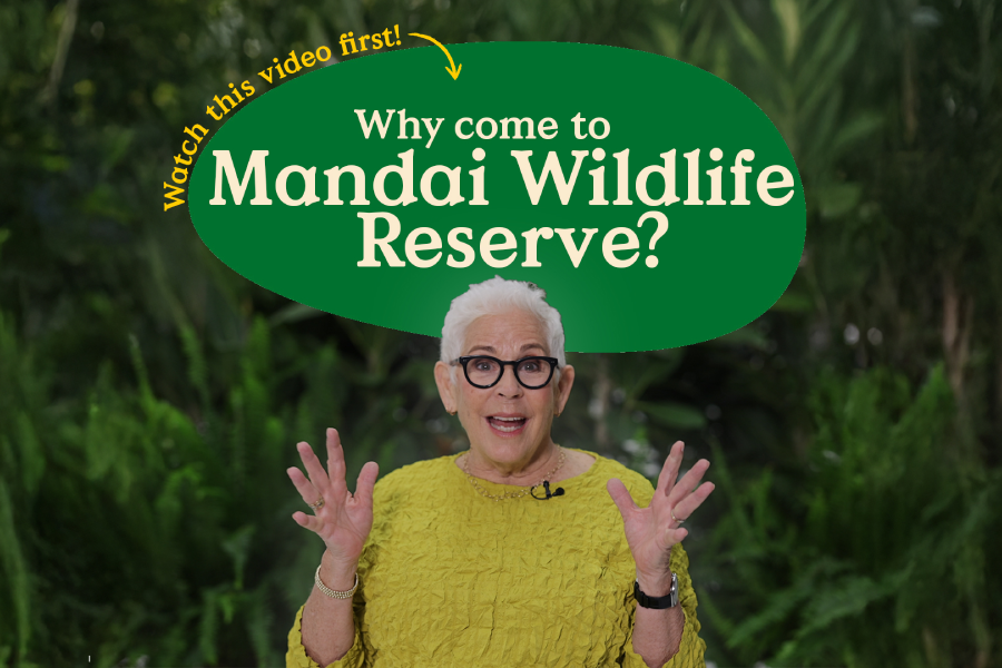 Nature and Animals as Teachers: An Educators’ Guide