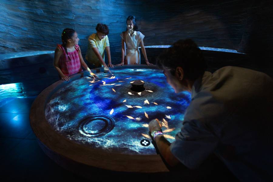 Post-Exam Programmes at Exploria