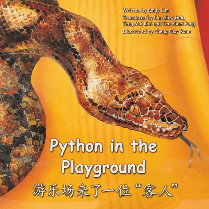 Python in the Playground