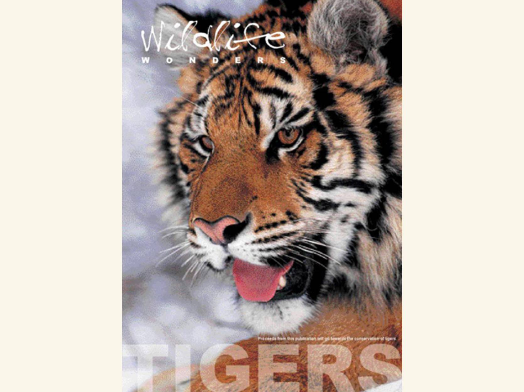 All About Tigers