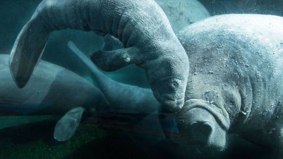 Sumber aktiviti prasekolah