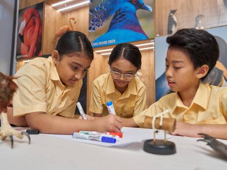 students in a classroom