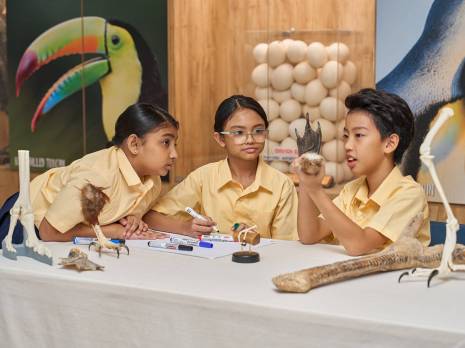 students in a discussion