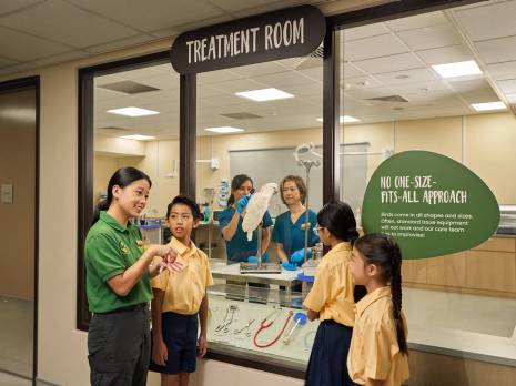 students in a animal hospital