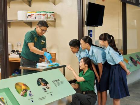 students being shown a chick being hand-fed